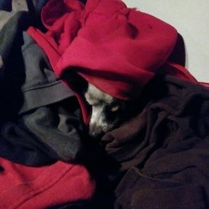 Meet your Posher, Rita